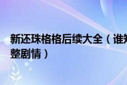 新还珠格格后续大全（谁知道新还珠格格之燕儿双双飞的完整剧情）