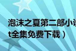 泡沫之夏第二部小说下载（泡沫之夏2小说txt全集免费下载）