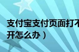 支付宝支付页面打不开（支付宝支付页面打不开怎么办）