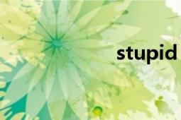 stupid（girl.zip）