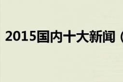 2015国内十大新闻（2005年国内十大新闻）