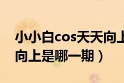 小小白cos天天向上（小小白他们cos上天天向上是哪一期）