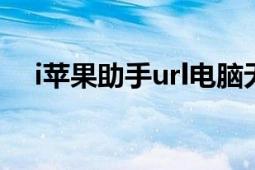 i苹果助手url电脑无法访问（I苹果助手）