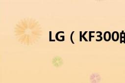 LG（KF300的内存卡是那种）