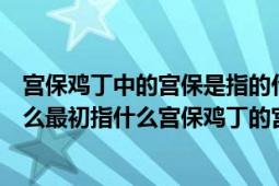 宫保鸡丁中的宫保是指的什么意思（宫保鸡丁的宫保是指什么最初指什么宫保鸡丁的宫保是指官衔）