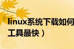 linux系统下载如何快速（LINUX下哪个下载工具最快）