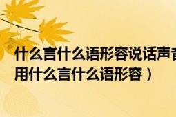 什么言什么语形容说话声音轻柔语气温和（态度温和小声说用什么言什么语形容）