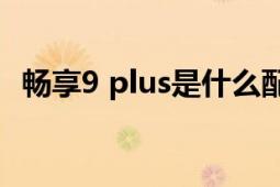 畅享9 plus是什么配件（畅享9e怎么样了）