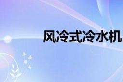风冷式冷水机（风冷式冷水机）
