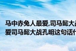 马中赤兔人最爱,司马懿大战孔明是什么生肖（马中赤兔人最爱司马懿大战孔明这句话什么意思）