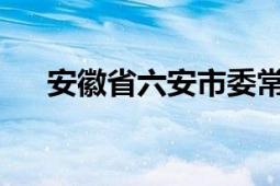 安徽省六安市委常委、市纪委书记王兰