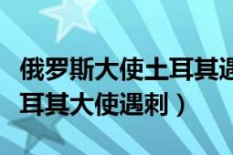 俄罗斯大使土耳其遇刺（如何看待俄罗斯驻土耳其大使遇刺）