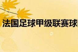 法国足球甲级联赛球队（法国足球甲级联赛）