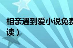 相亲遇到爱小说免费（相亲遇到爱全文免费阅读）