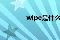 wipe是什么意思（怎么用）