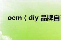 oem（diy 品牌自己做干什么的,怎么用）