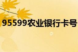 95599农业银行卡号（95599农业银行官网）