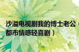 沙溢电视剧我的博士老公（我的博士老公 沙溢、梁静主演的都市情感轻喜剧）