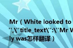 Mr（White looked to see how little Ally was怎样翻译