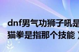 dnf男气功狮子吼是多少级技能（DNF男气功猫拳是指那个技能）