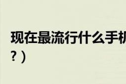 现在最流行什么手机壳（现在最流行什么发行?）