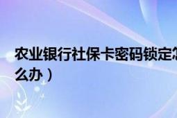 农业银行社保卡密码锁定怎么办（中国农业银行密码锁定怎么办）