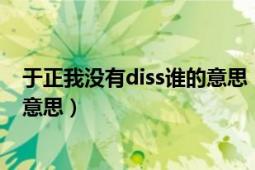 于正我没有diss谁的意思（于正为什么会说我没有diss谁的意思）