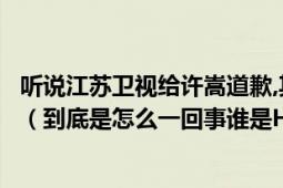 听说江苏卫视给许嵩道歉,其中许嵩唱歌时还流泪了是真的吗（到底是怎么一回事谁是HOLD姐）