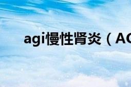 agi慢性肾炎（AGN 急性肾小球肾炎）