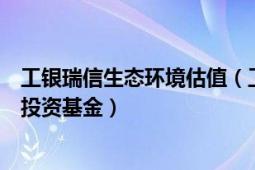 工银瑞信生态环境估值（工银瑞信生态环境行业股票型证券投资基金）