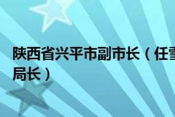 陕西省兴平市副市长（任雪 陕西省兴平市行政审批服务局副局长）