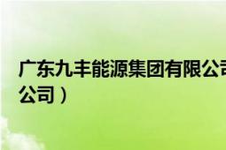 广东九丰能源集团有限公司怎么样（广东九丰能源集团有限公司）