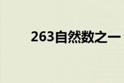 263自然数之一（263 自然数之一）