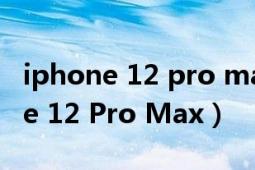 iphone 12 pro max 和12 pro区别（iPhone 12 Pro Max）