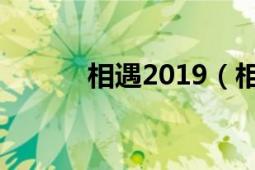 相遇2019（相遇 2019年电影）