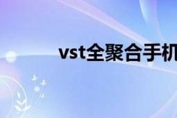 vst全聚合手机版（VST全聚合）