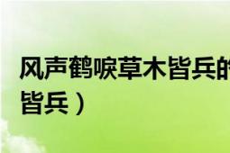 风声鹤唳草木皆兵的成语故事（风声鹤唳草木皆兵）