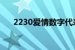 2230爱情数字代表什么意思（223年）