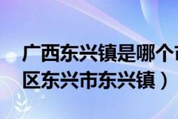 广西东兴镇是哪个市（东兴镇 广西壮族自治区东兴市东兴镇）