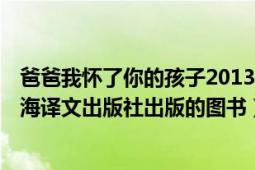 爸爸我怀了你的孩子2013（爸爸我怀了你的孩子 2005年上海译文出版社出版的图书）