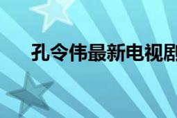 孔令伟最新电视剧（孔令伟 中国演员）