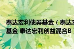 泰达宏利债券基金（泰达宏利创益灵活配置混合型证券投资基金 泰达宏利创益混合B）