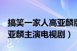 搞笑一家人高亚麟版（搞笑一家人 2011年高亚麟主演电视剧）