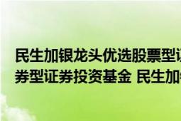 民生加银龙头优选股票型证券投资基金（民生加银新收益债券型证券投资基金 民生加银新收益债券C）