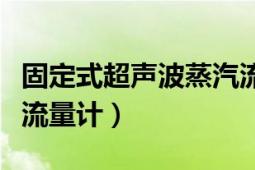 固定式超声波蒸汽流量计原理（固定式超声波流量计）