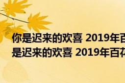 你是迟来的欢喜 2019年百花洲文艺出版社出版的图书（你是迟来的欢喜 2019年百花洲文艺出版社出版的图书）