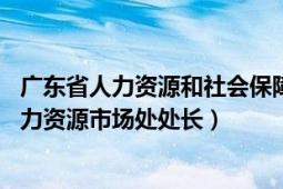 广东省人力资源和社会保障厅厅长（林国斌 广东省人社厅人力资源市场处处长）