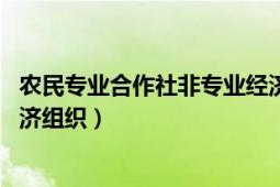 农民专业合作社非专业经济组织（农民专业合作社 互助性经济组织）