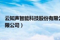 云知声智能科技股份有限公司报表（云知声智能科技股份有限公司）