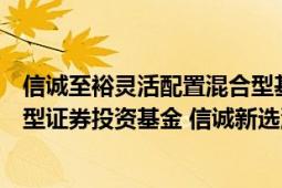 信诚至裕灵活配置混合型基金（信诚新选回报灵活配置混合型证券投资基金 信诚新选混合B）